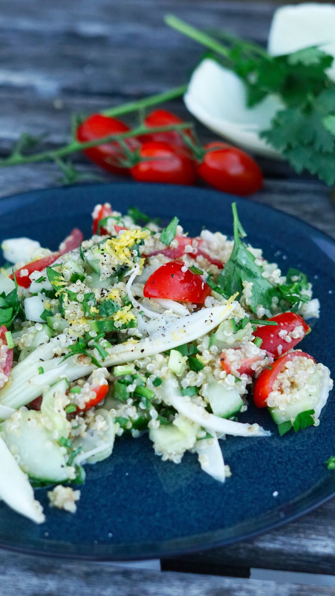 Quinoasalat mit Feta-Joghurt-Dip, Fenchel, Tomate und Gurke